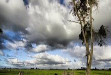 大巴黎对决巴萨，谁能在欧冠赛场笑到最后？